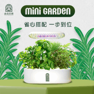 函漾Mini Garden桌上小菜園